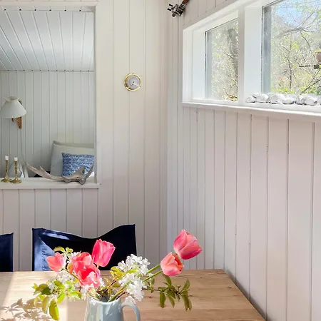 House With Wild Roses And Sunbeams *