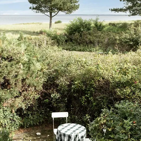 House With Wild Roses And Sunbeams Сasa de vacaciones